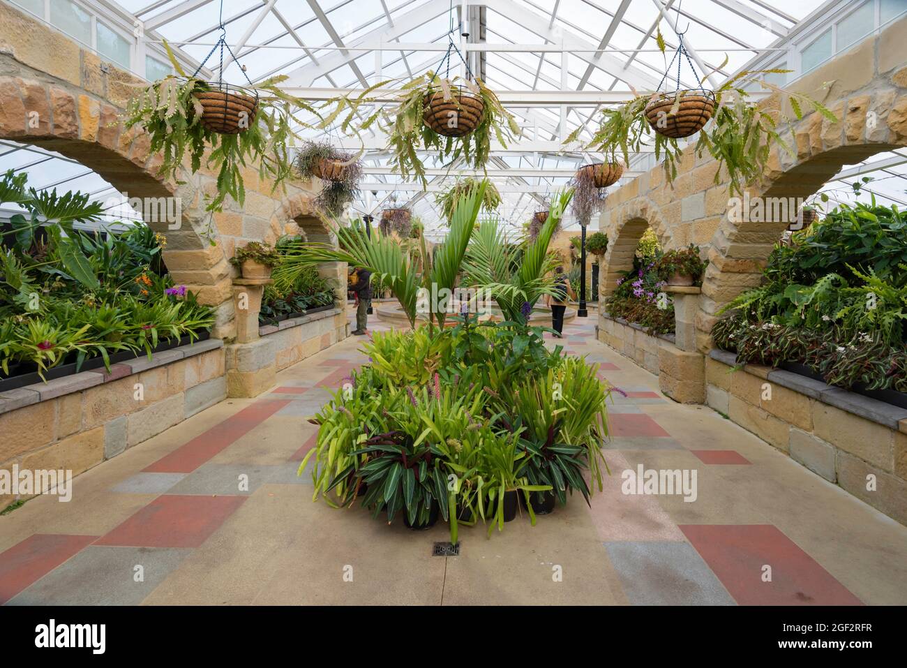 The interior of the 1939 built Conservatory at the Royal Tasmanian