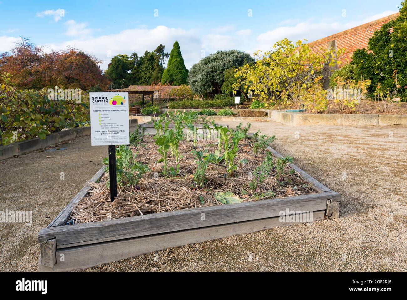 Famous for its regular feature on the TV program Gardening Australia, the vegetable patch in the Hobart Botanical Gardens also supports charities Stock Photo