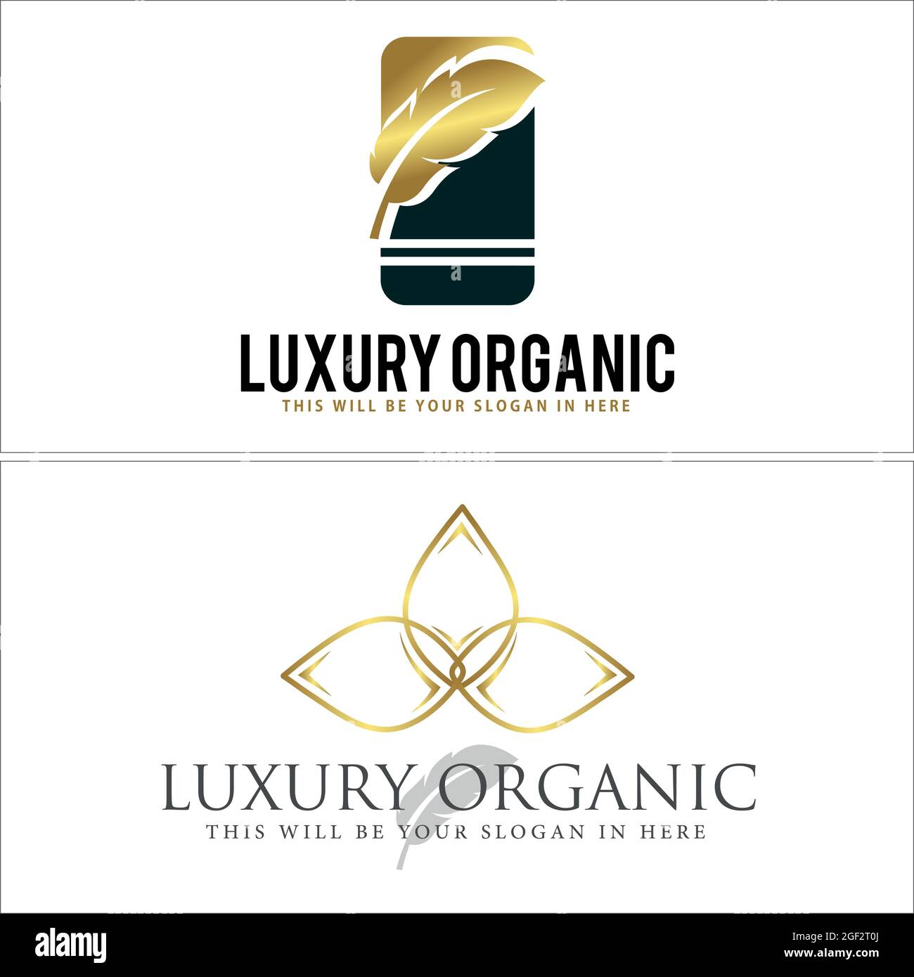 Luxury feather and leaf line vector logo design Stock Vector