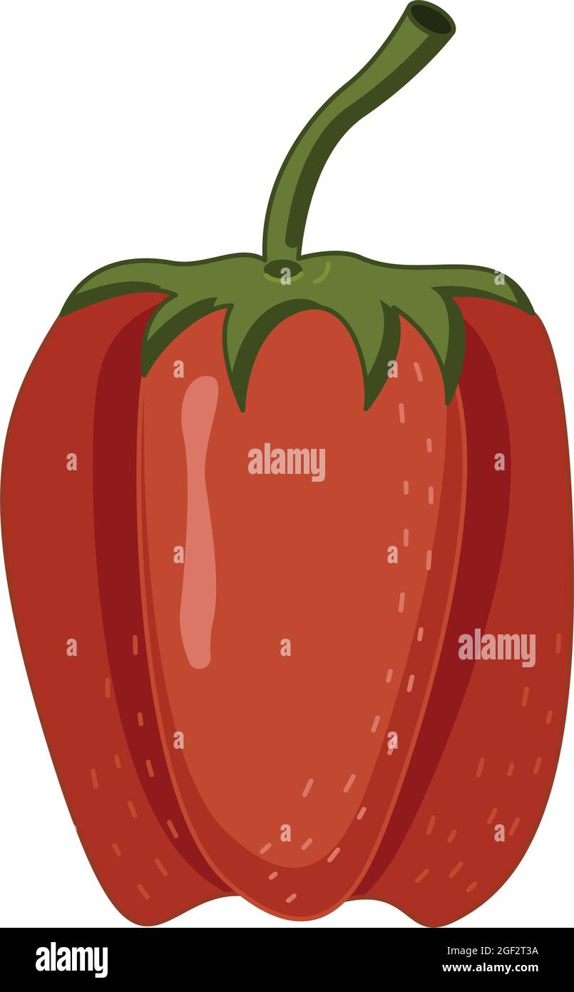 Vector illustration in a flat style of a red bell pepper isolated on a ...