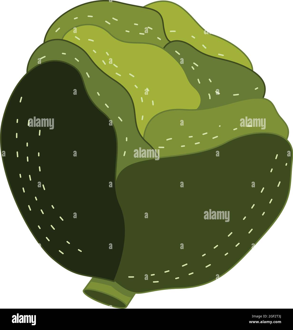 Cabbage icon in a flat hand drawn style isolated on a white background ...