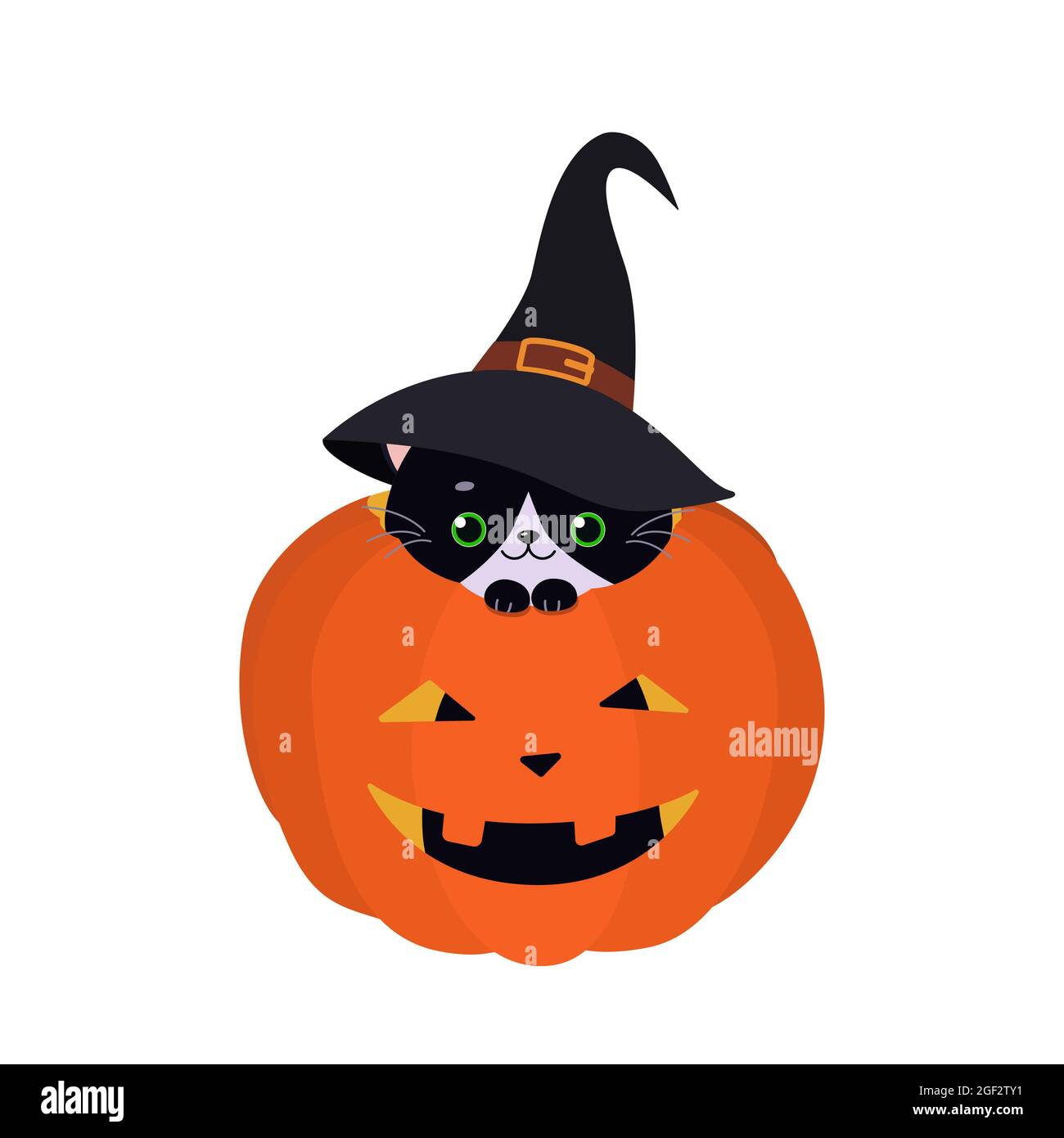 Black cute cat sitting in Halloween pumpkin. Cartoon flat style. Vector ...