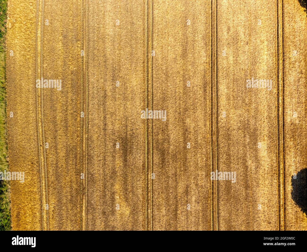 Aerial photo of wheat field ready for harvesting Stock Photo