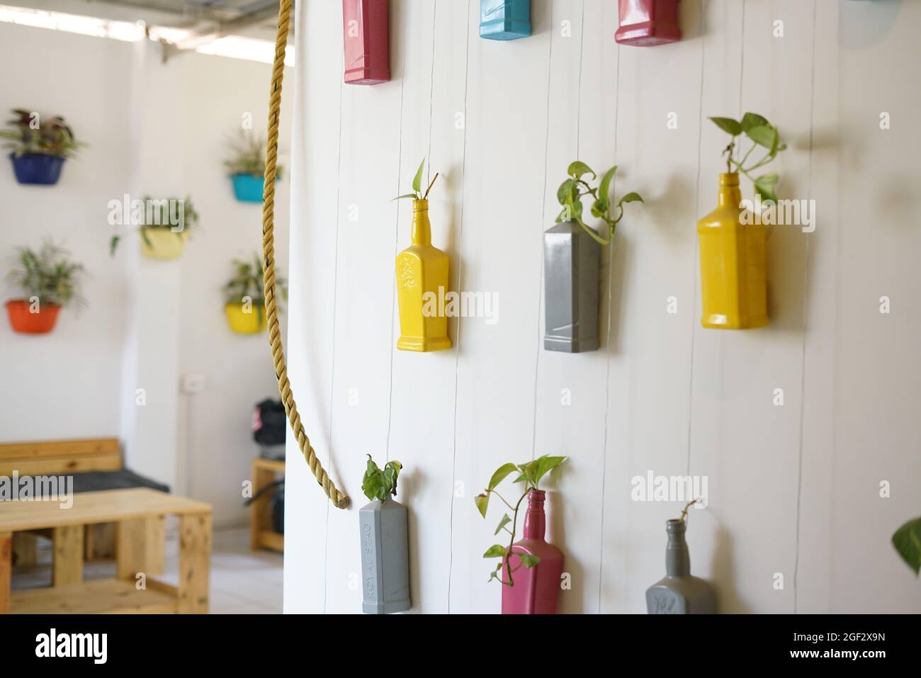 Home Décor with bottle planters of different colors on wall, Wall Decor,  Plants, India Stock Photo - Alamy