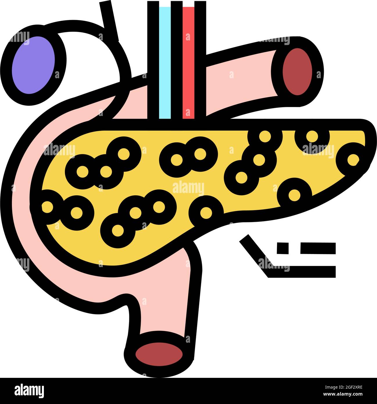pancreas endocrinology color icon vector illustration Stock Vector