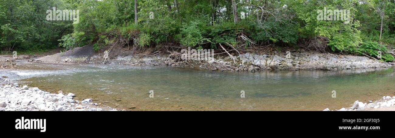 Panorama of a small mountain river with a rocky bank overgrown with ...