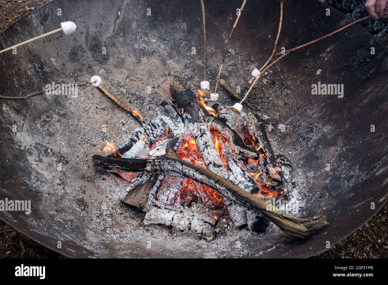 Close up of marshmallow roasted over a fire pit Stock Photo Alamy