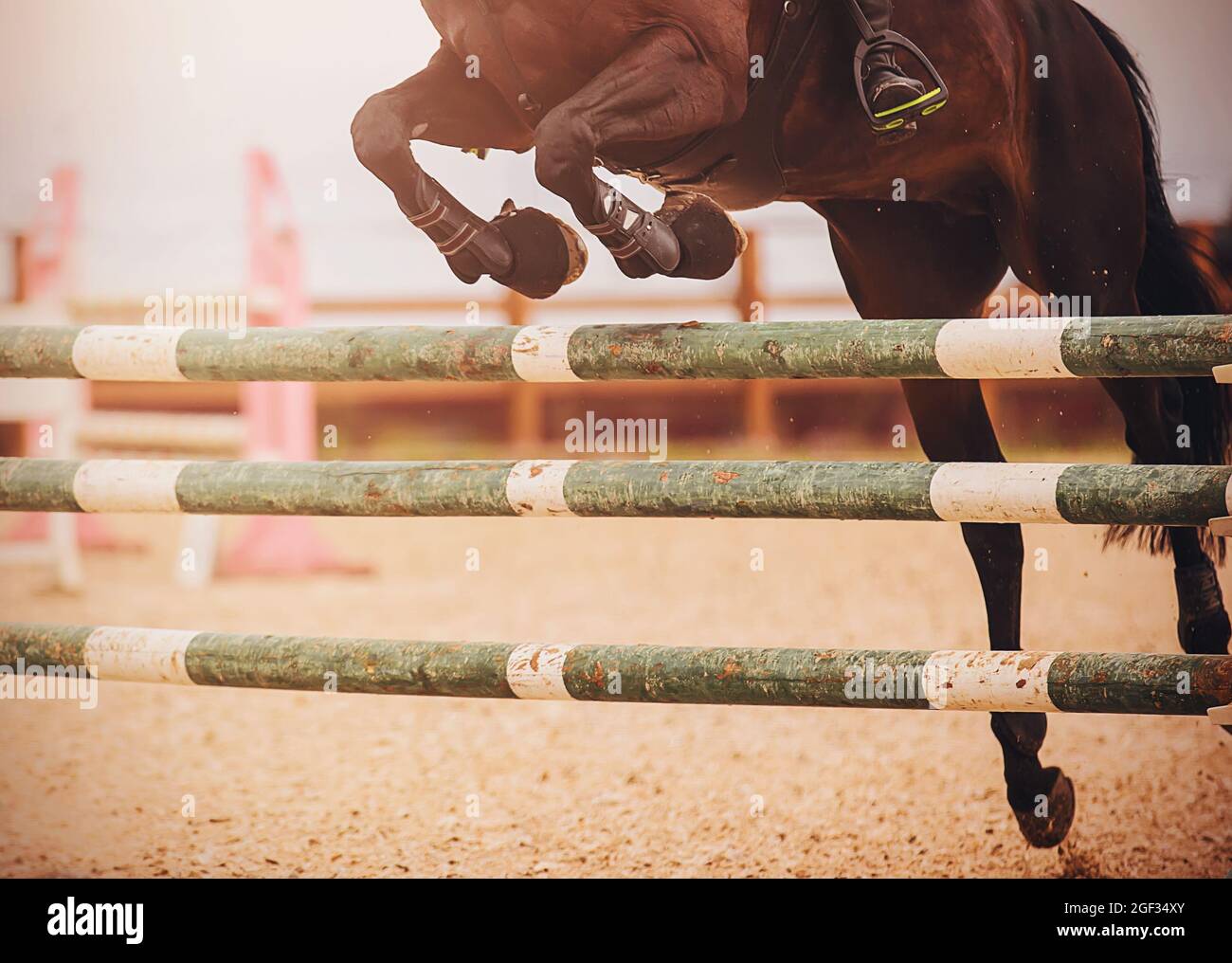 A dark bay racehorse with a rider in the saddle jumps over a green wooden barrier at a show jumping competition. Equestrian sports. Horse riding. Stock Photo