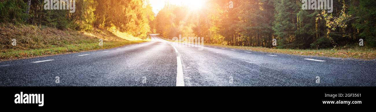 Asphalt road with beautiful trees on the sides in autumn Stock Photo ...