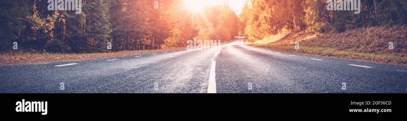 Asphalt road with beautiful trees on the sides in autumn Stock Photo ...