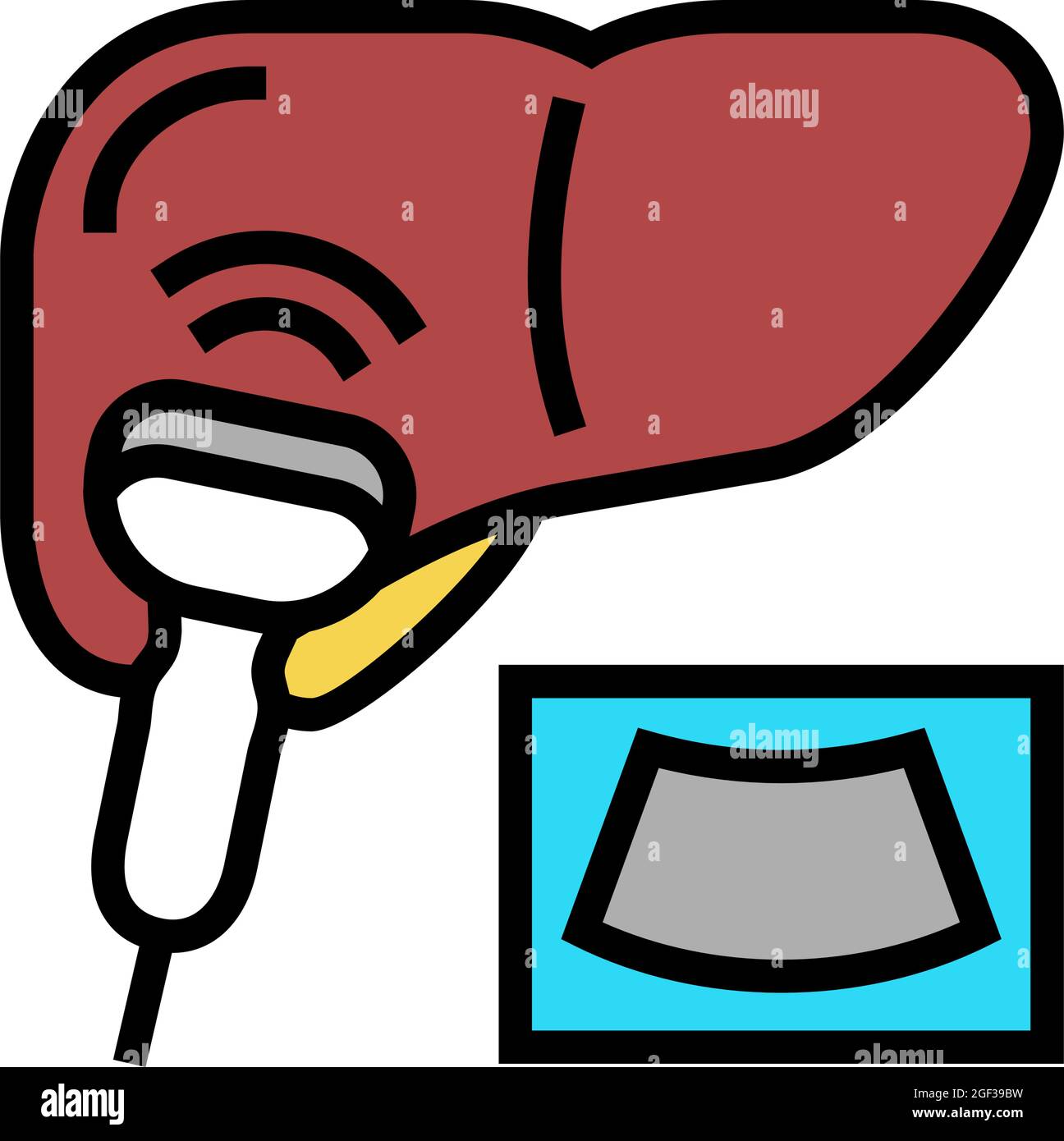 ultrasound liver color icon vector illustration Stock Vector Image