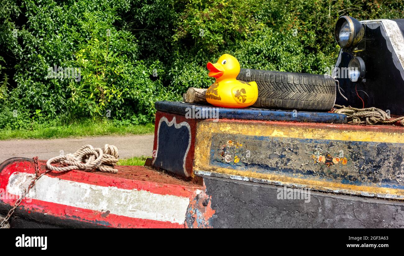Yellow rubber duck toy onboard narrowboat Grand Union Canal