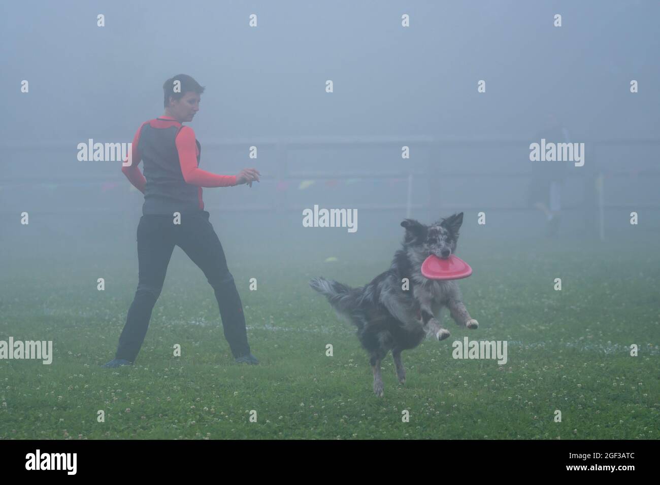 Italian Disc Dog championship. In this sport, dogs and their human flying disc throwers compete in events such as distance catching and freestyle. Stock Photo