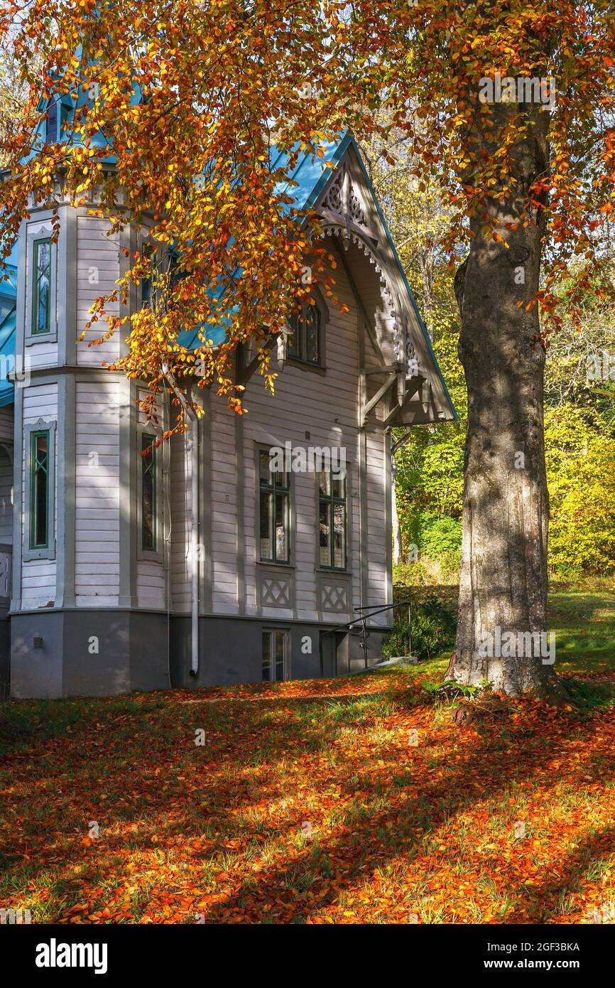 Old wooden house with a tree in the fall Stock Photo - Alamy
