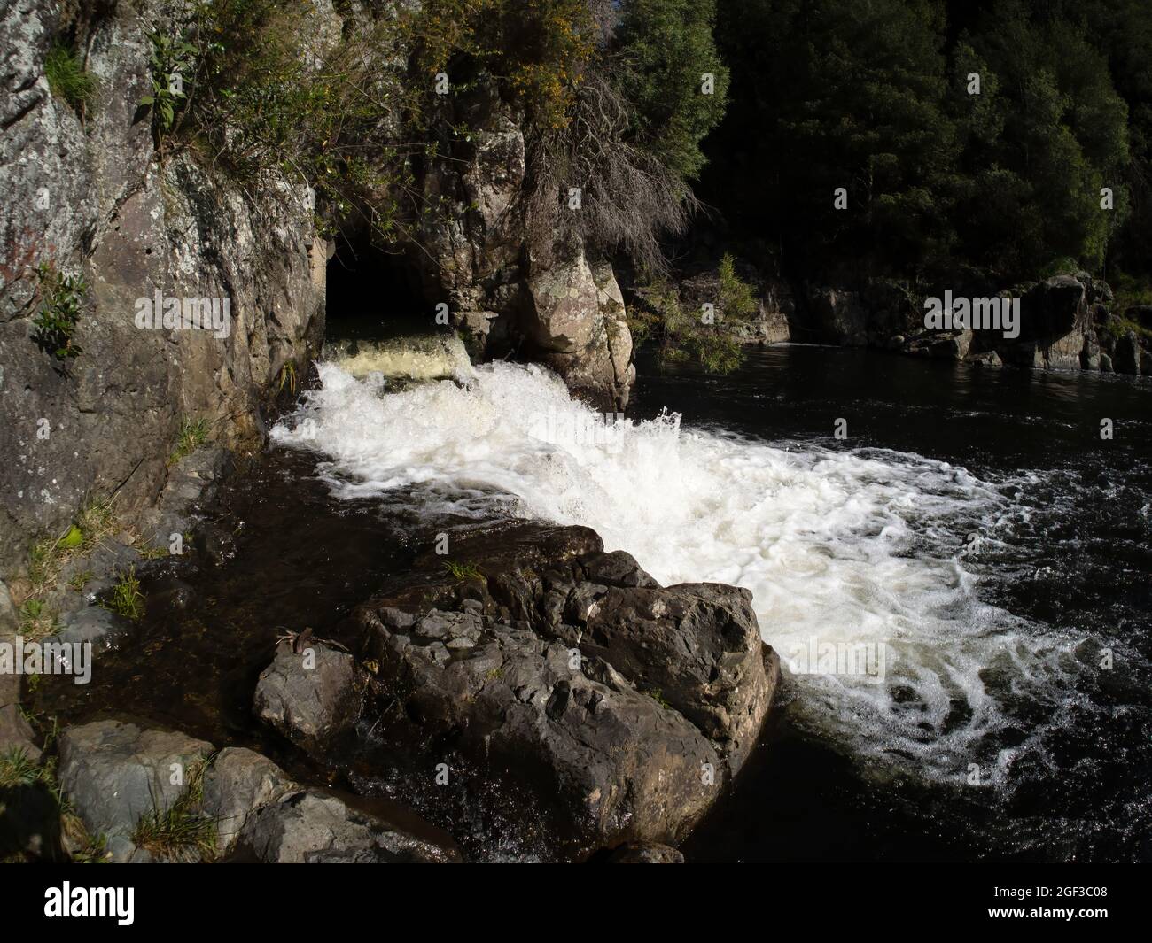 Waitawheta river in Karangahake Gorge, New Zealand Stock Photo