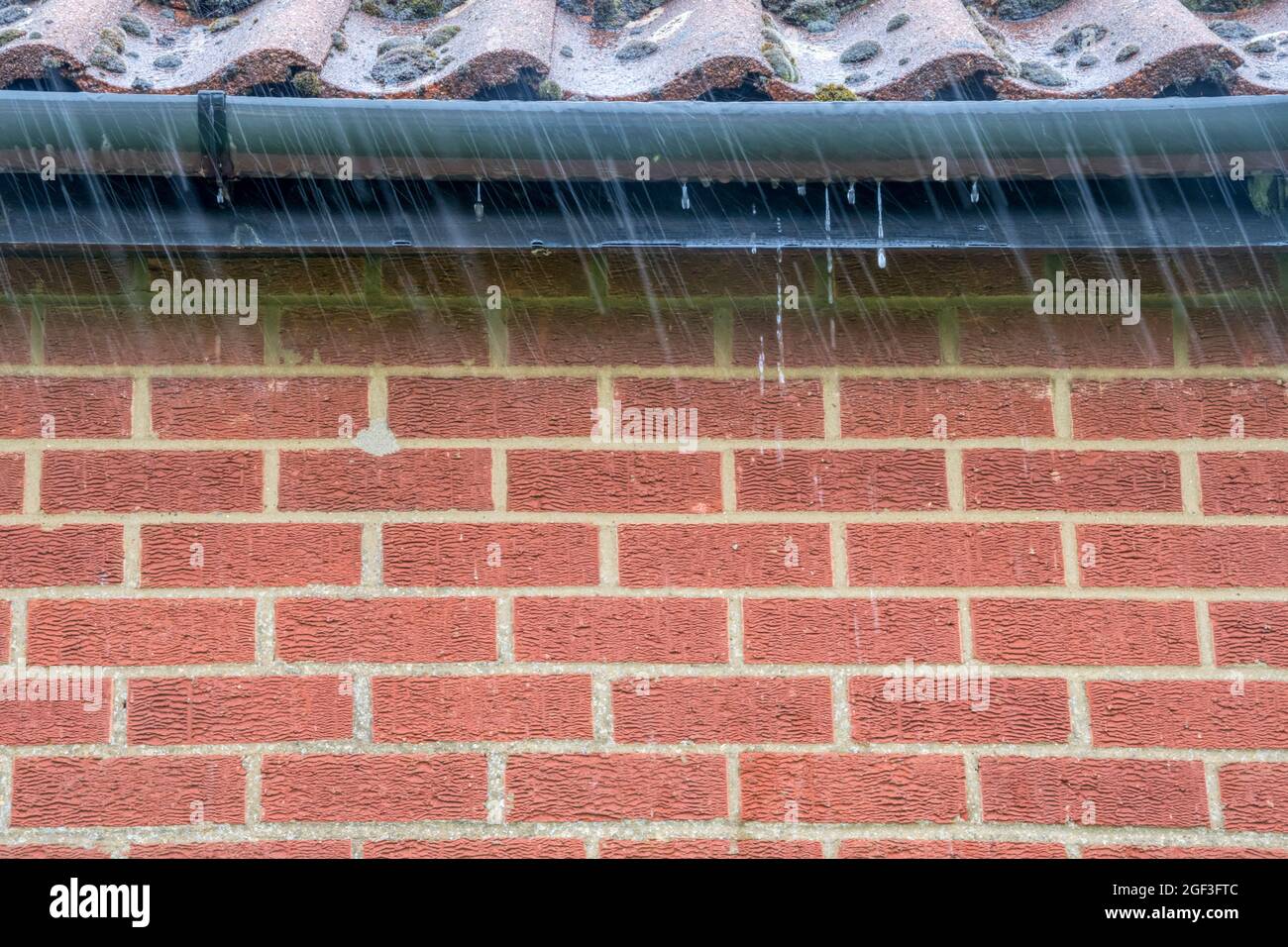 Overflowing guttering during rainstorm - partially blocked by moss from roof. Stock Photo