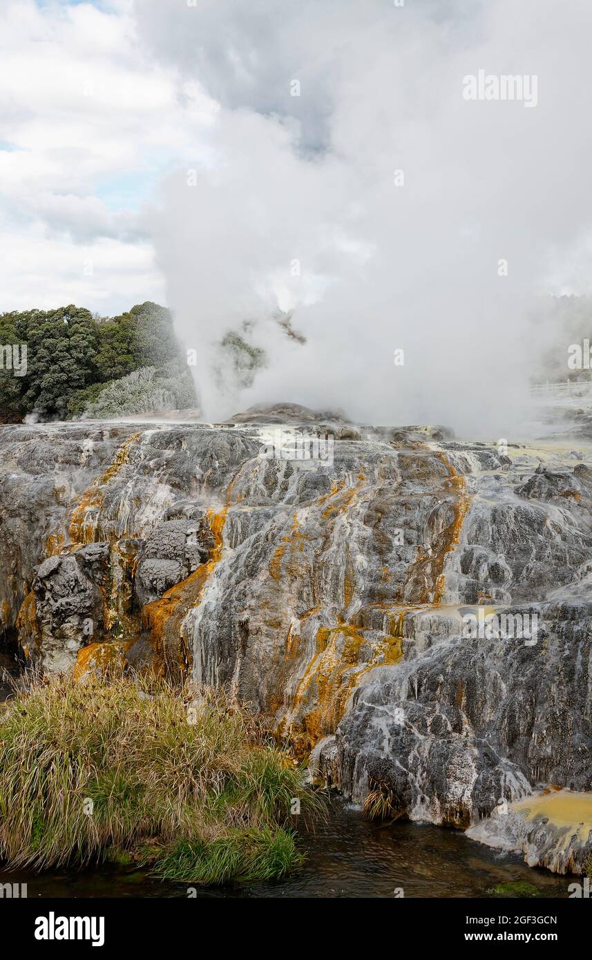 geothermals; steam rising, gold color run-off, nature, power, heat, Te Puia Maori Cultural Center; Rotorua; New Zealand Stock Photo