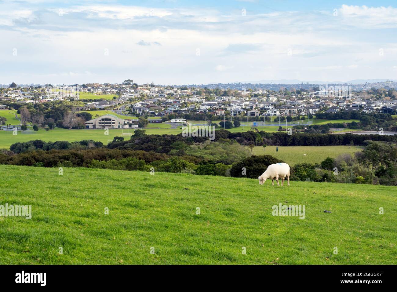 Beachlands suburb of Auckland, New Zealand Stock Photo Alamy
