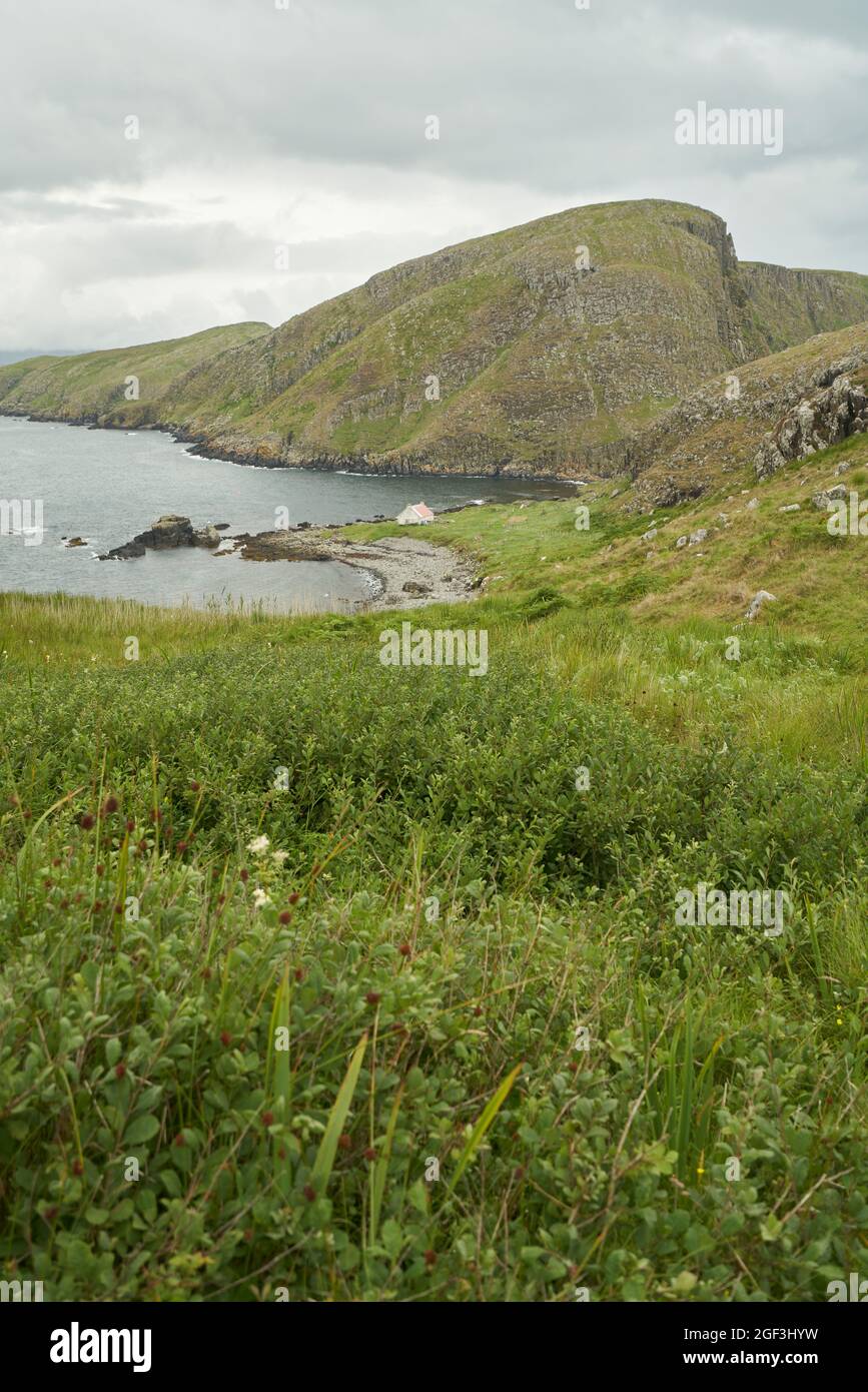 The house or bothy on Eilean an Taighe in the Shiant Isles with mixed vegetation that has resisted grazing pressure by sheep in the foreground. Stock Photo