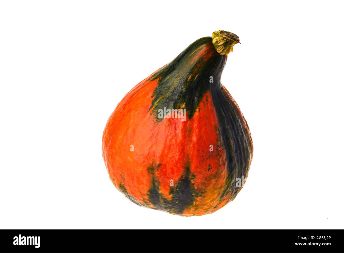 orange pumpkin isolated on a white background Stock Photo - Alamy