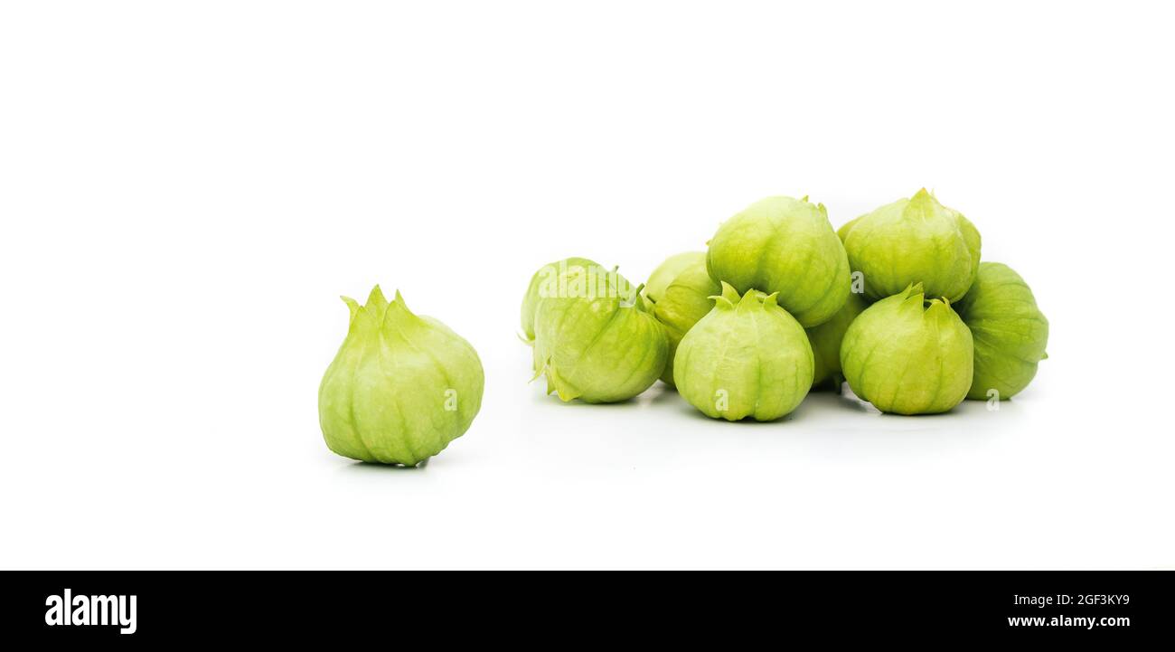 Group of tomatillos with husks. Toma Verde tomatillos also known as Mexican husk tomato and Physalis philadelphica. Used baked, roasted or boiled in s Stock Photo