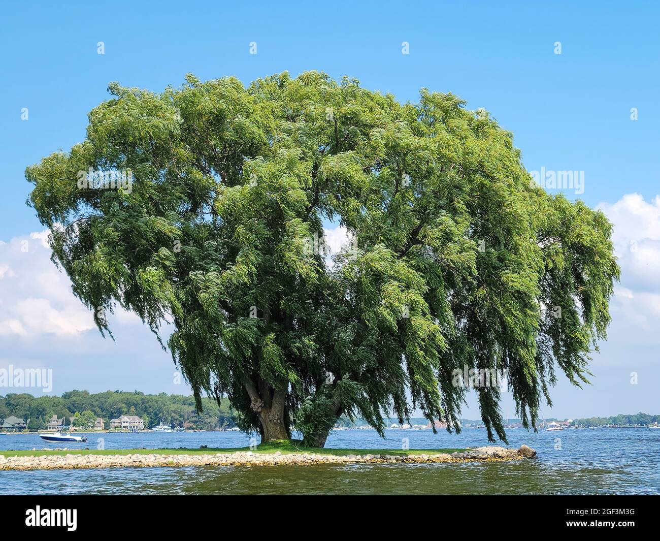 Old peninsula hi res stock photography and images Alamy
