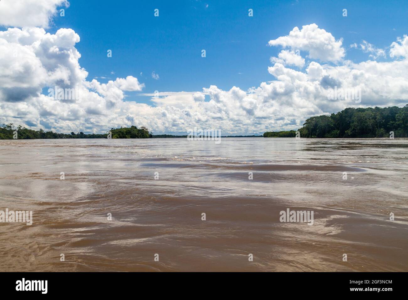 Jungle along river Napo, Ecuador Stock Photo - Alamy