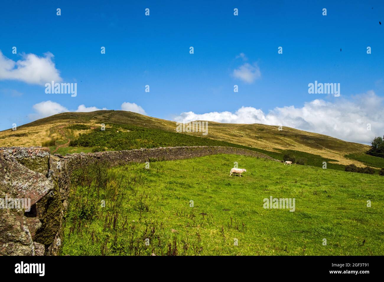 Tor y Foel Hill seen from Bwlch y Waun above the Talybont Valley, Brecon Beacons National Park Stock Photo