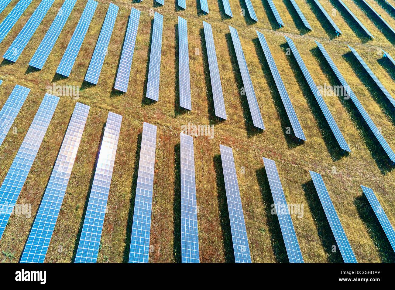 Row of solar panels in the field. Solar battery farm, aerial view ...