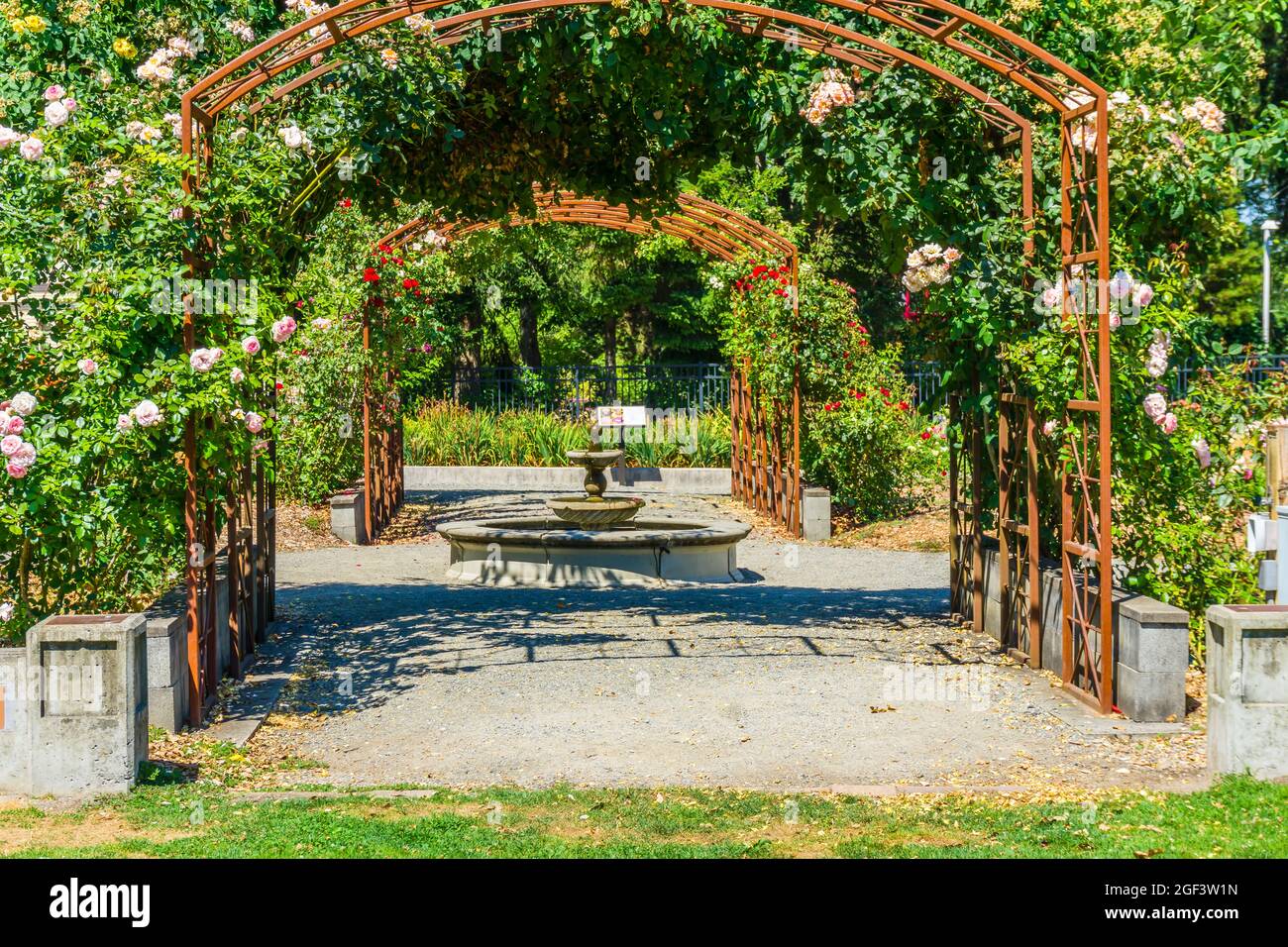Rose garden arches trellises hi-res stock photography and images - Alamy
