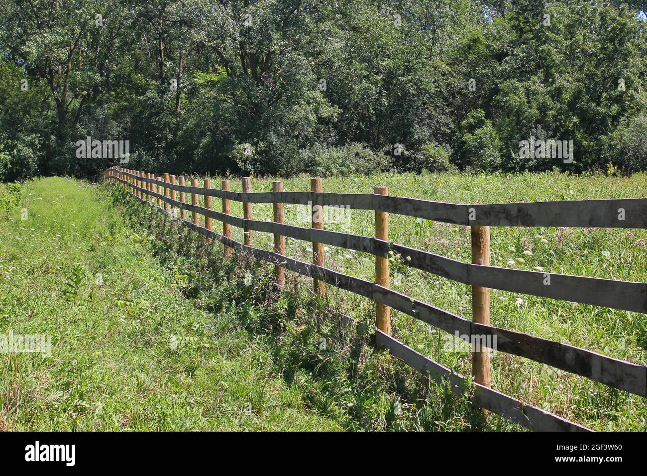 Traditional wooden boundary fence crossing a farm field on a bright ...