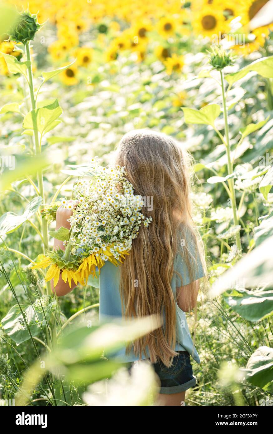 Happy little girl on the field of sunflowers in summer Stock Photo - Alamy