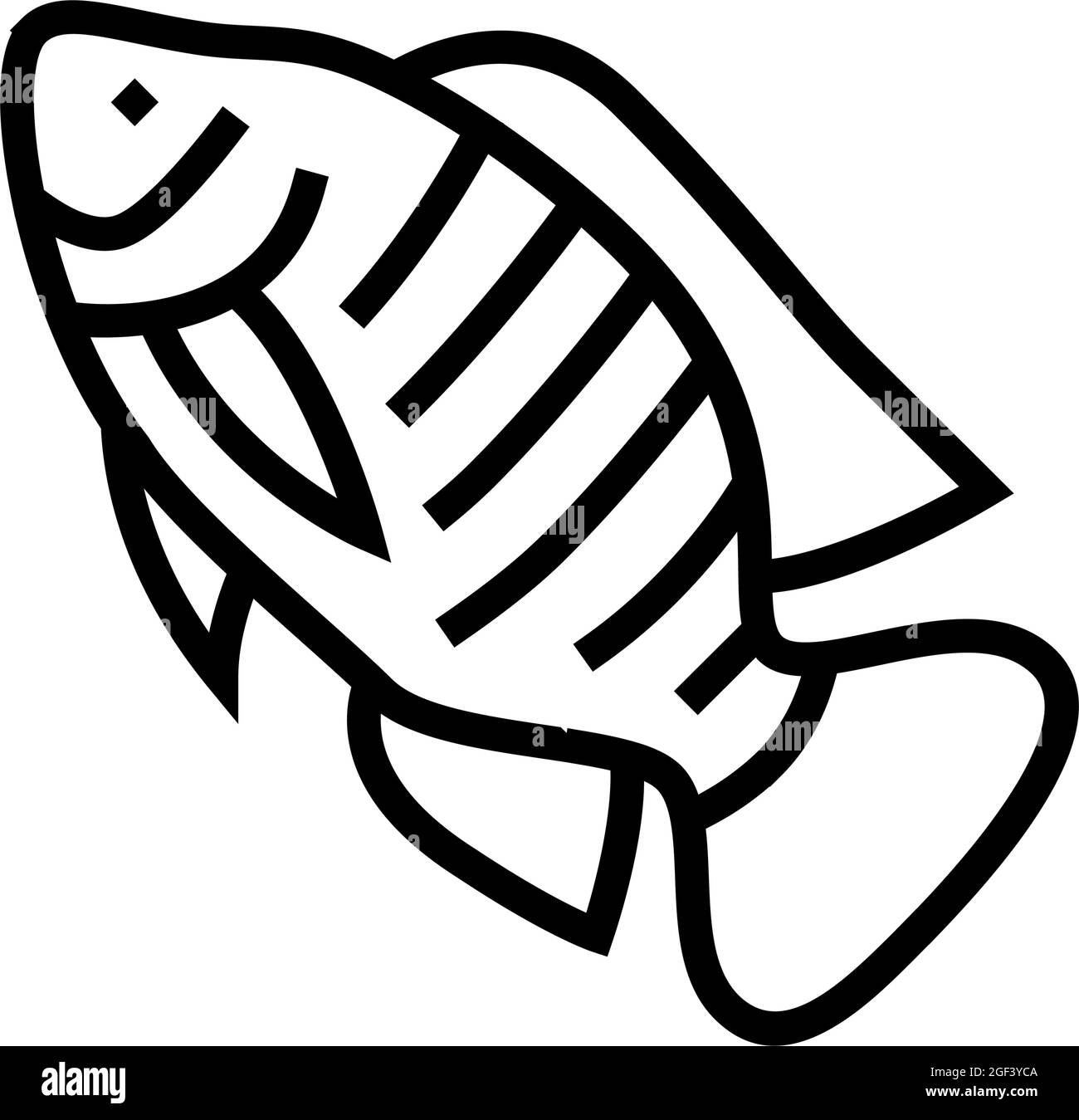 nile tilapia line icon vector illustration Stock Vector Image & Art Alamy