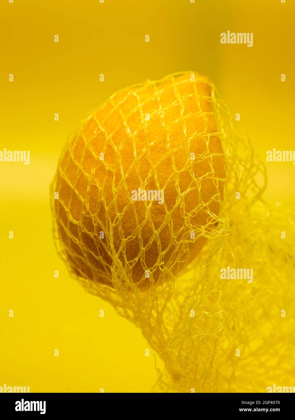 Lemon in string bag against yellow background in close-up. Food ...