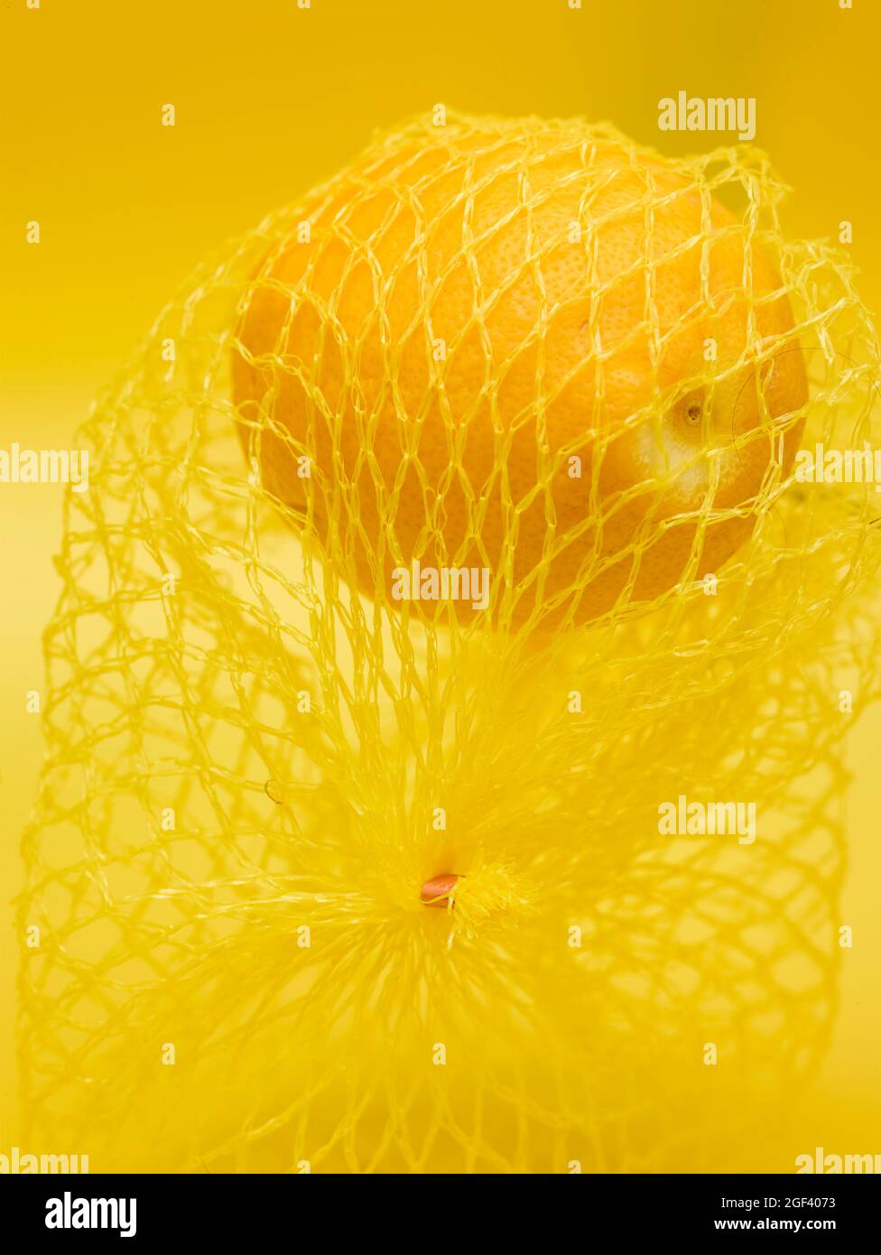 Lemon in string bag against yellow background in close-up. Food ...