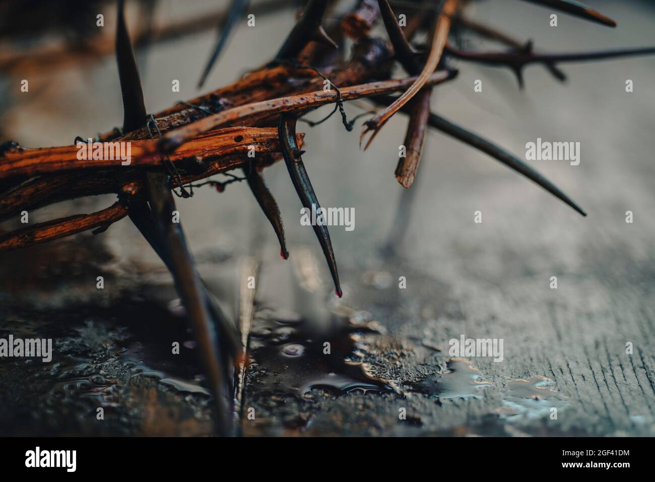 Holy crown of thorns hi-res stock photography and images - Alamy
