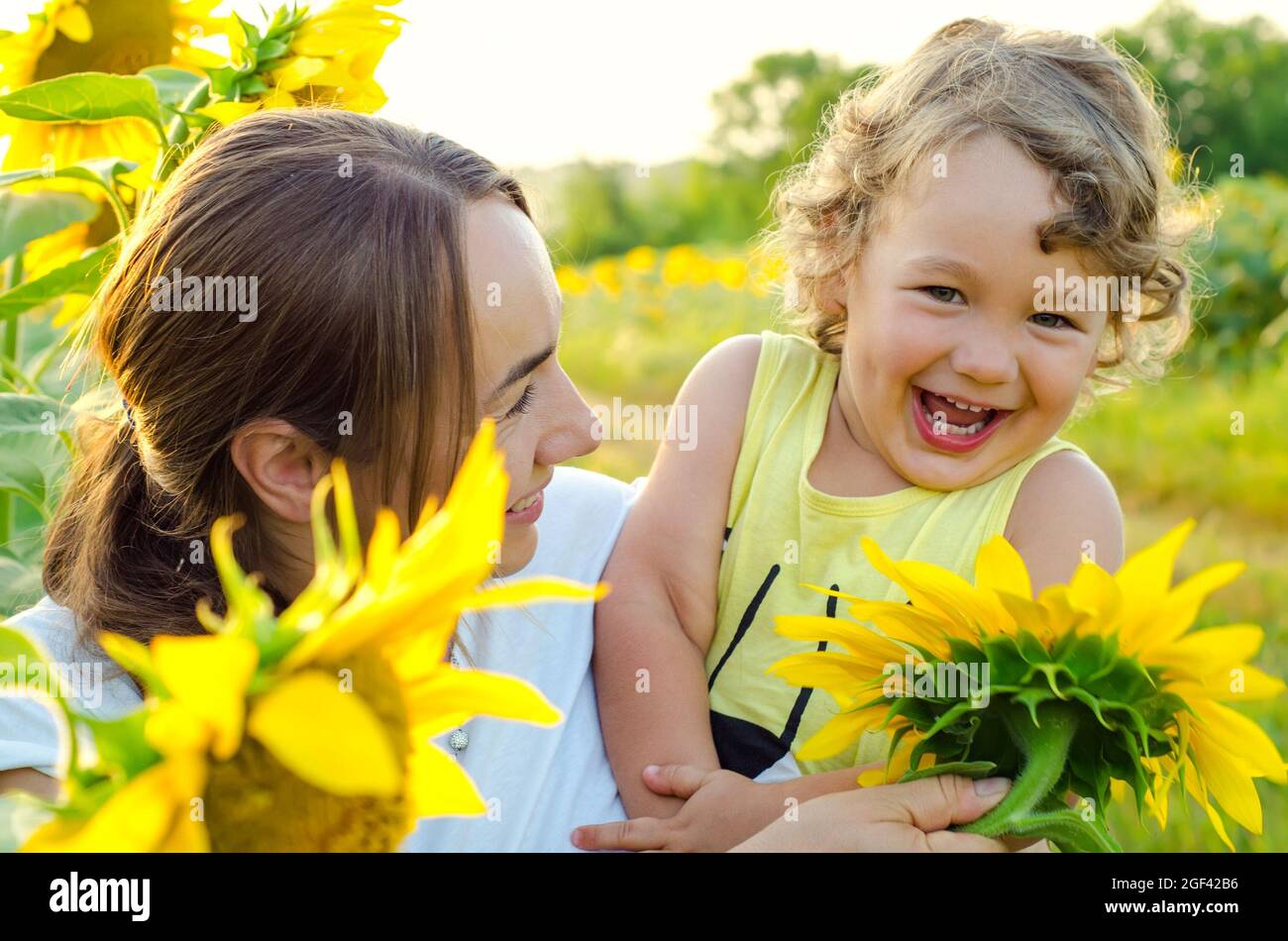 mother and baby in sunflowers field Stock Photo - Alamy