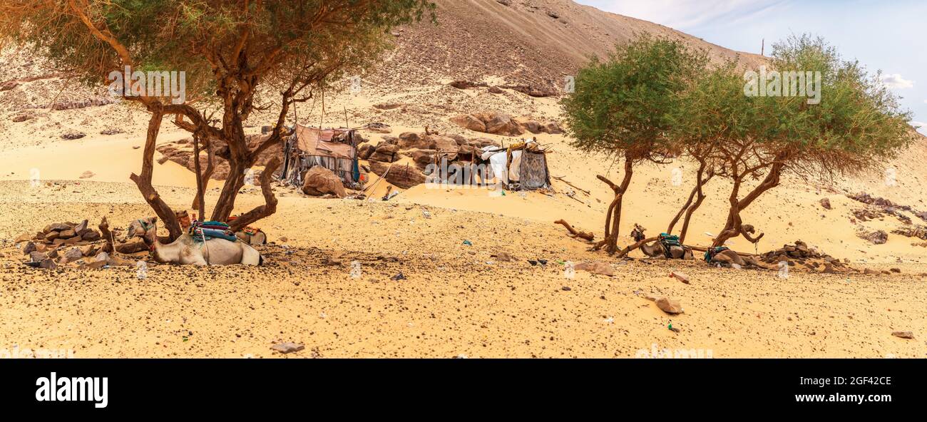 Bedouin in the sahara desert hi-res stock photography and images - Alamy