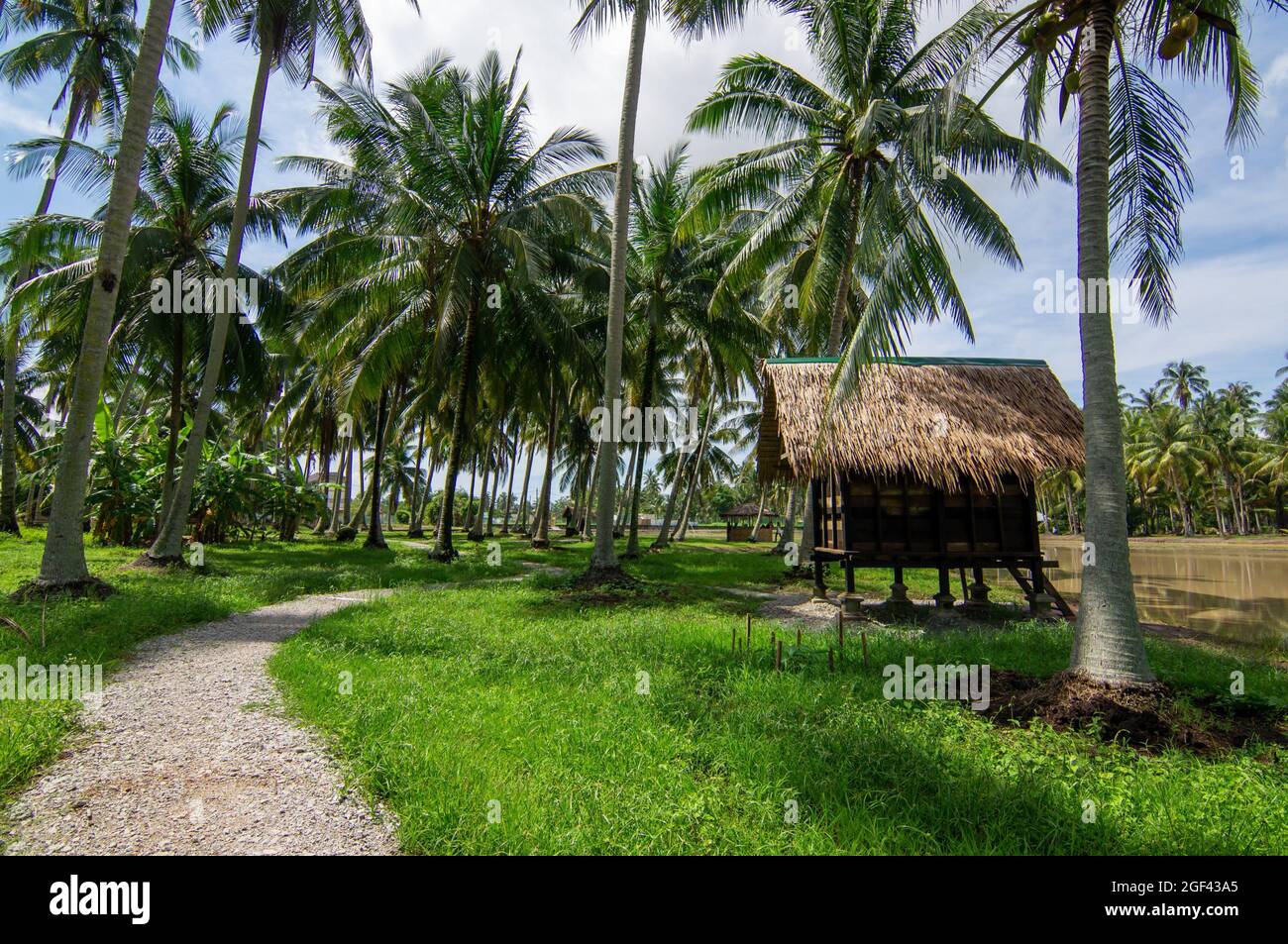 Coconut hut hires stock photography and images Alamy