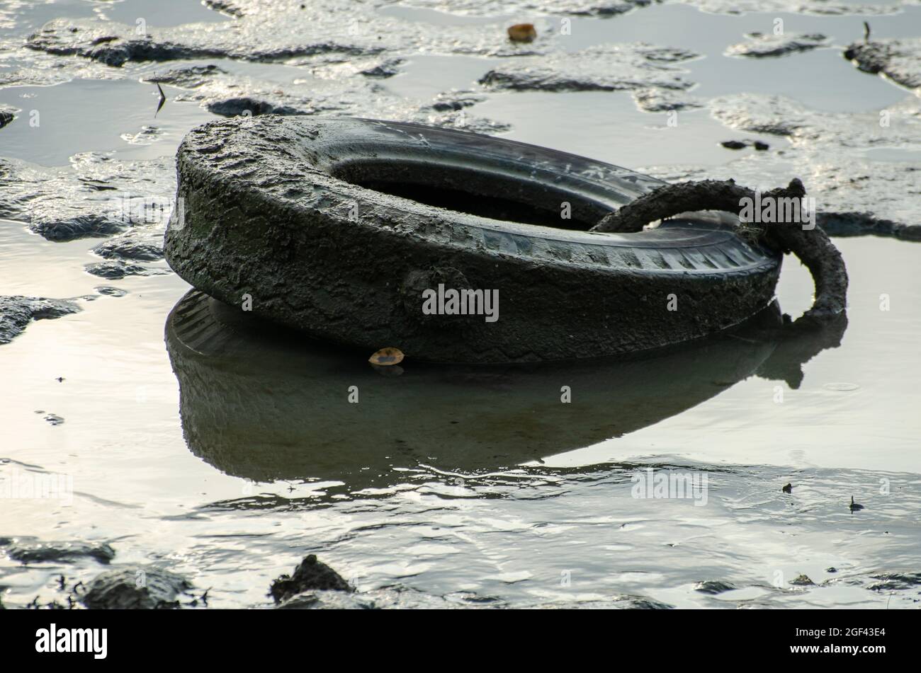 Car tire pollution at coastal. Environmental pollution Stock Photo Alamy