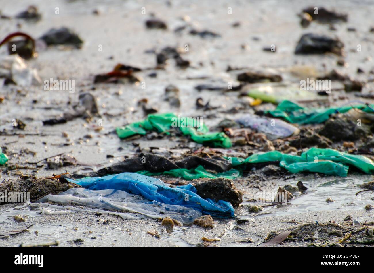 Garbage plastic bag at beach Stock Photo Alamy