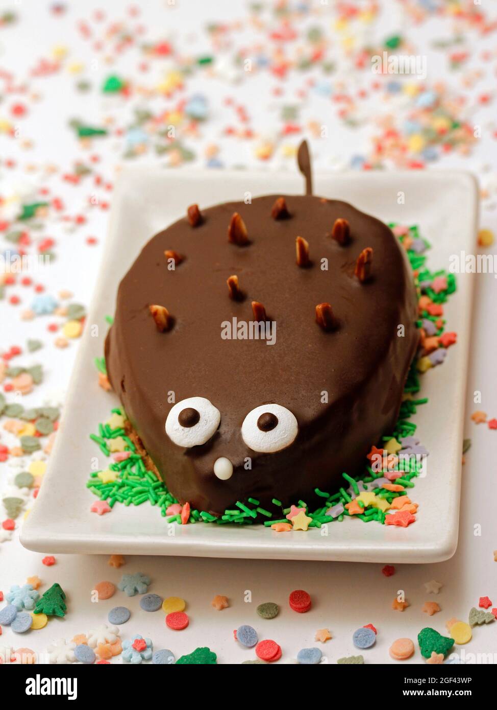 Chocolate hedgehog Stock Photo Alamy