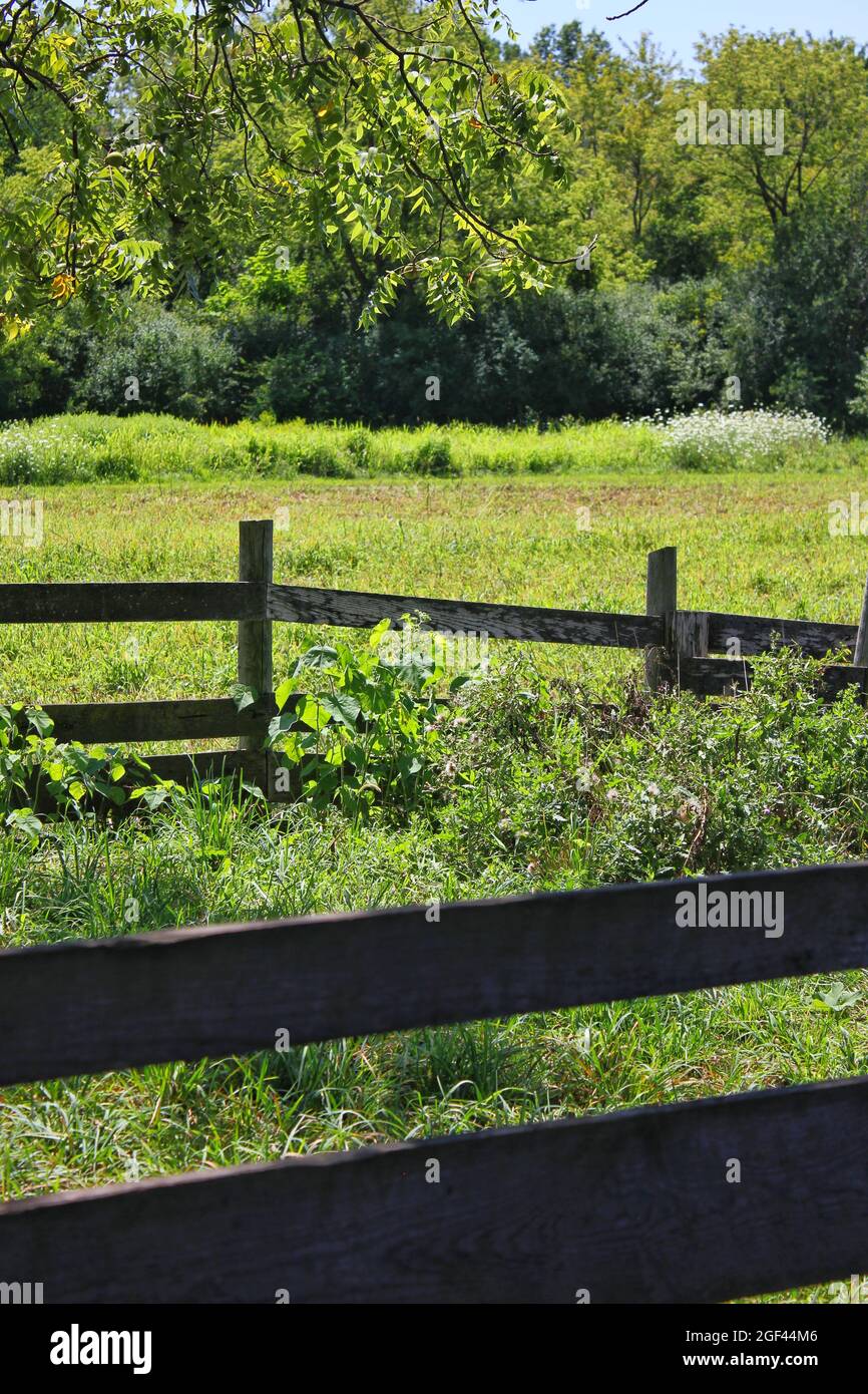 Traditional wooden boundary fence crossing a farm field on a bright ...