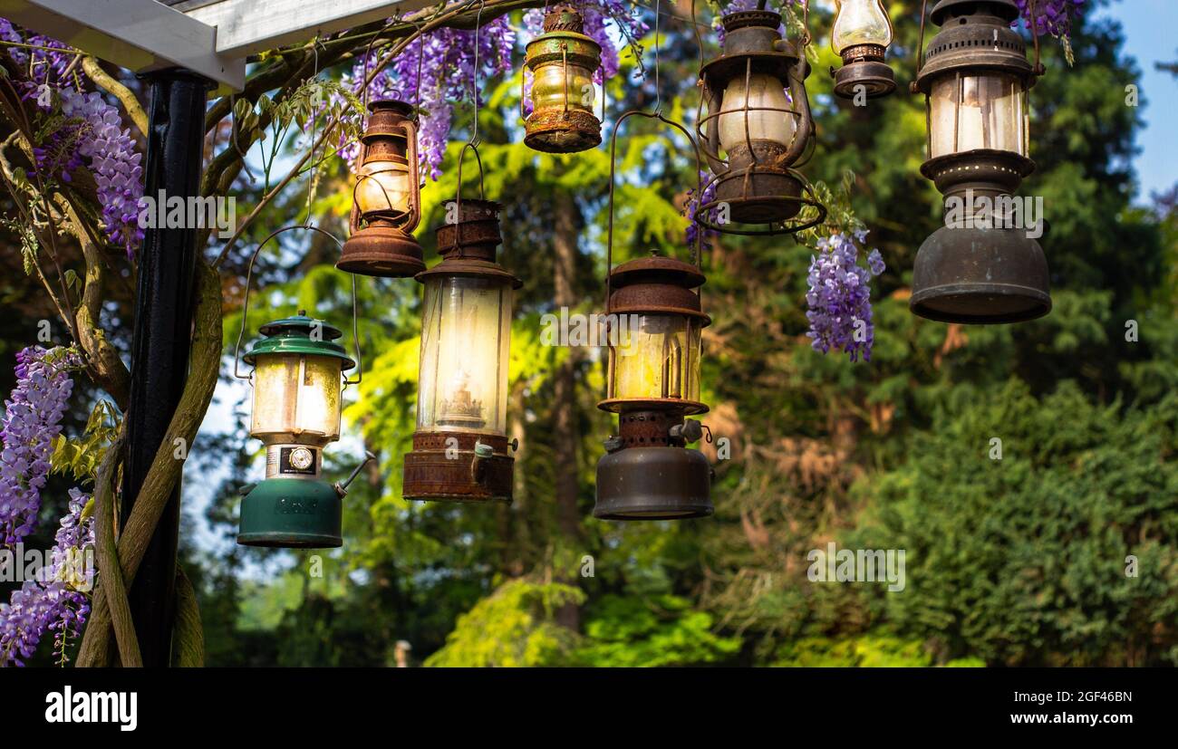 Antique sales lamps hanging