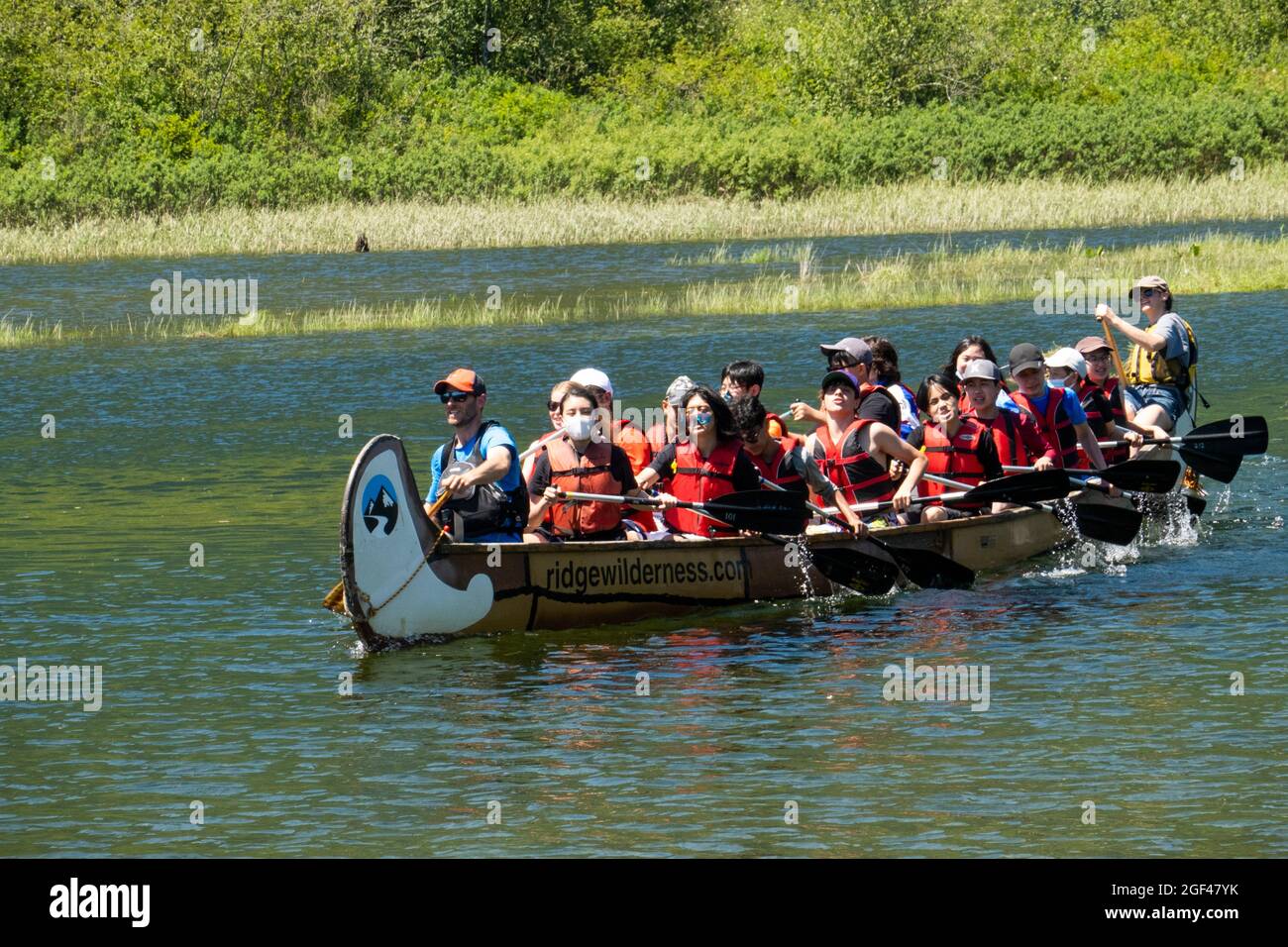 Group of children paddle a large canoe on Widgeon Creek near Pitt Meadows, BC, Canada. Stock Photo
