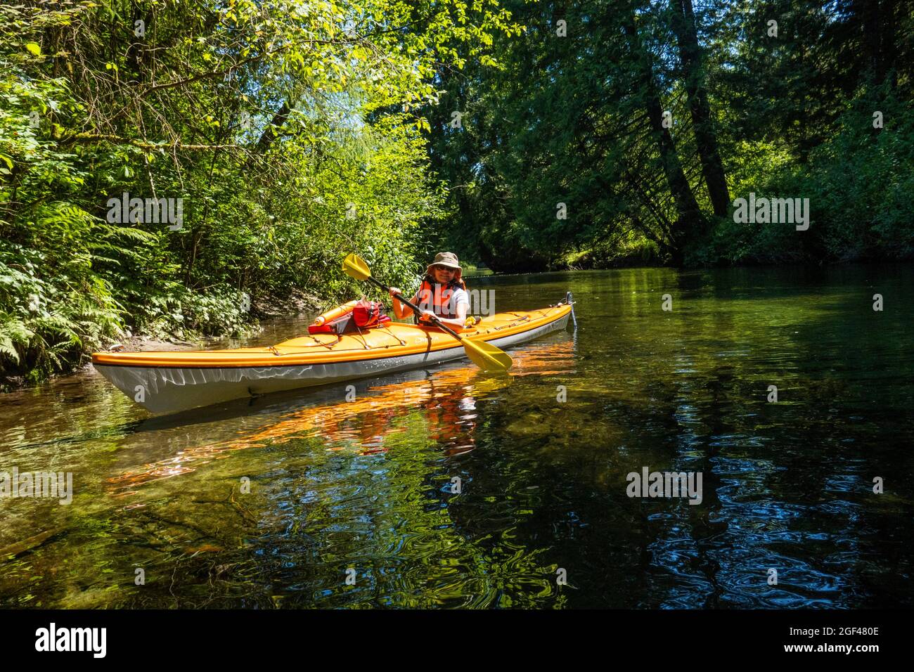 Woman kayaking on Widgeon Creek near Pitt Meadows, BC, Canada. Stock Photo