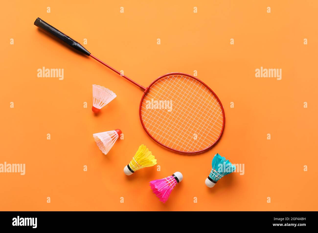 Badminton racket and shuttlecocks on color background Stock Photo