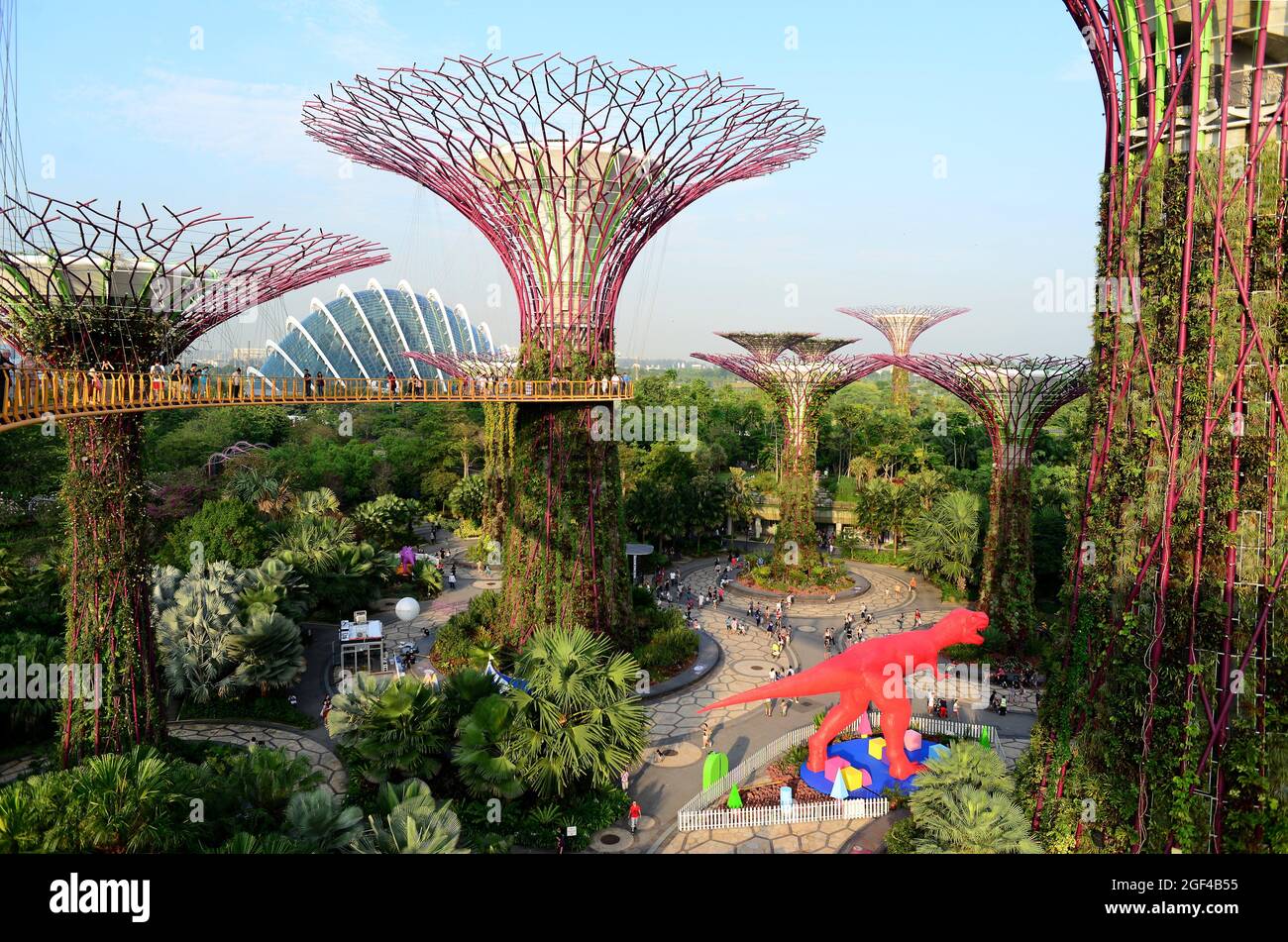 Singapore gardens bay tree hi-res stock photography and images - Alamy