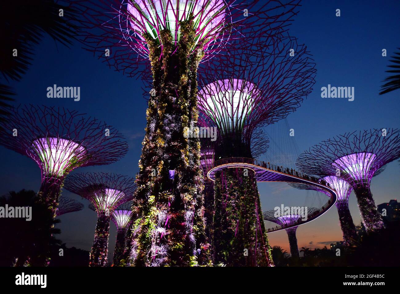 Singapore gardens by the bay hi-res stock photography and images - Alamy