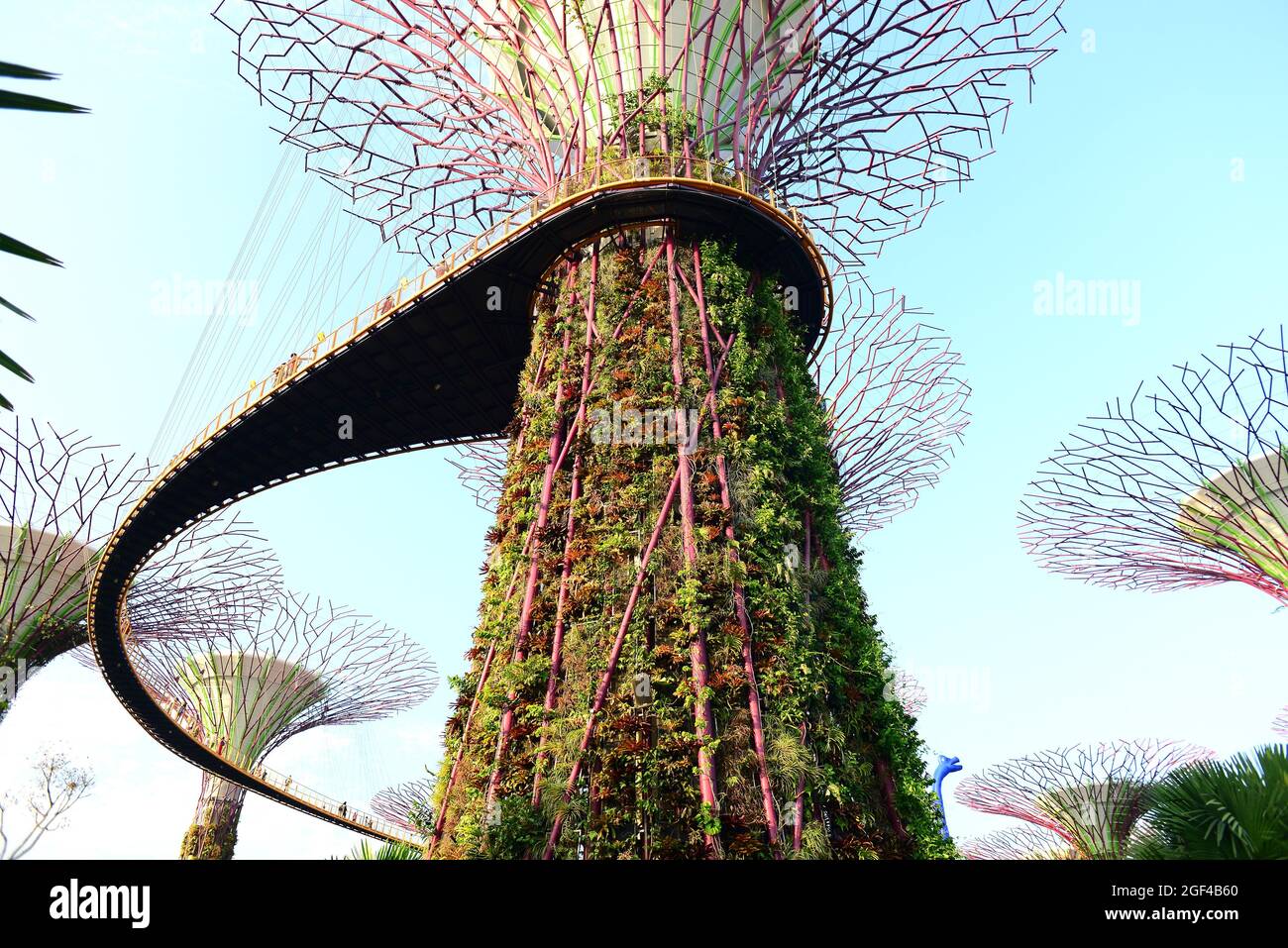 Singapore, Gardens by the Bay. Stock Photo